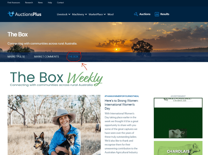 The Box 1 blog