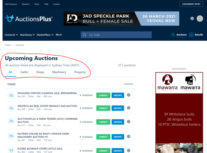 auctions 2